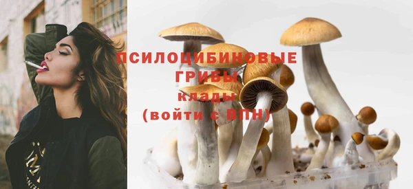 мескалин Абинск