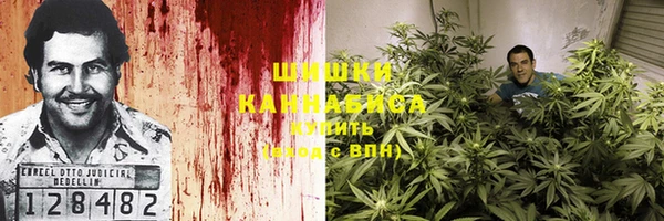 MESCALINE Покачи
